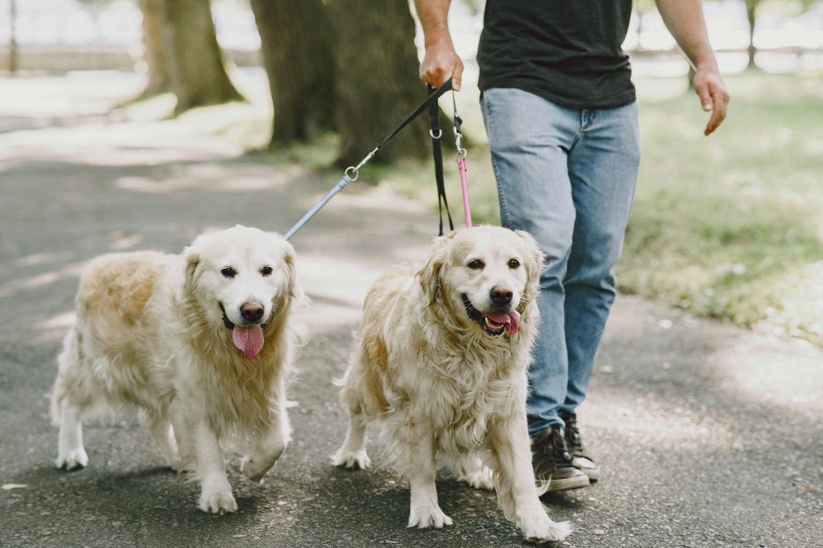 Walk