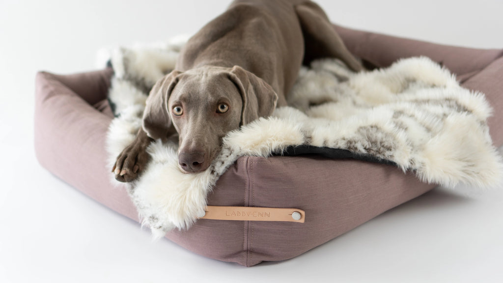 Tösse Blanket