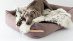 Tösse Blanket