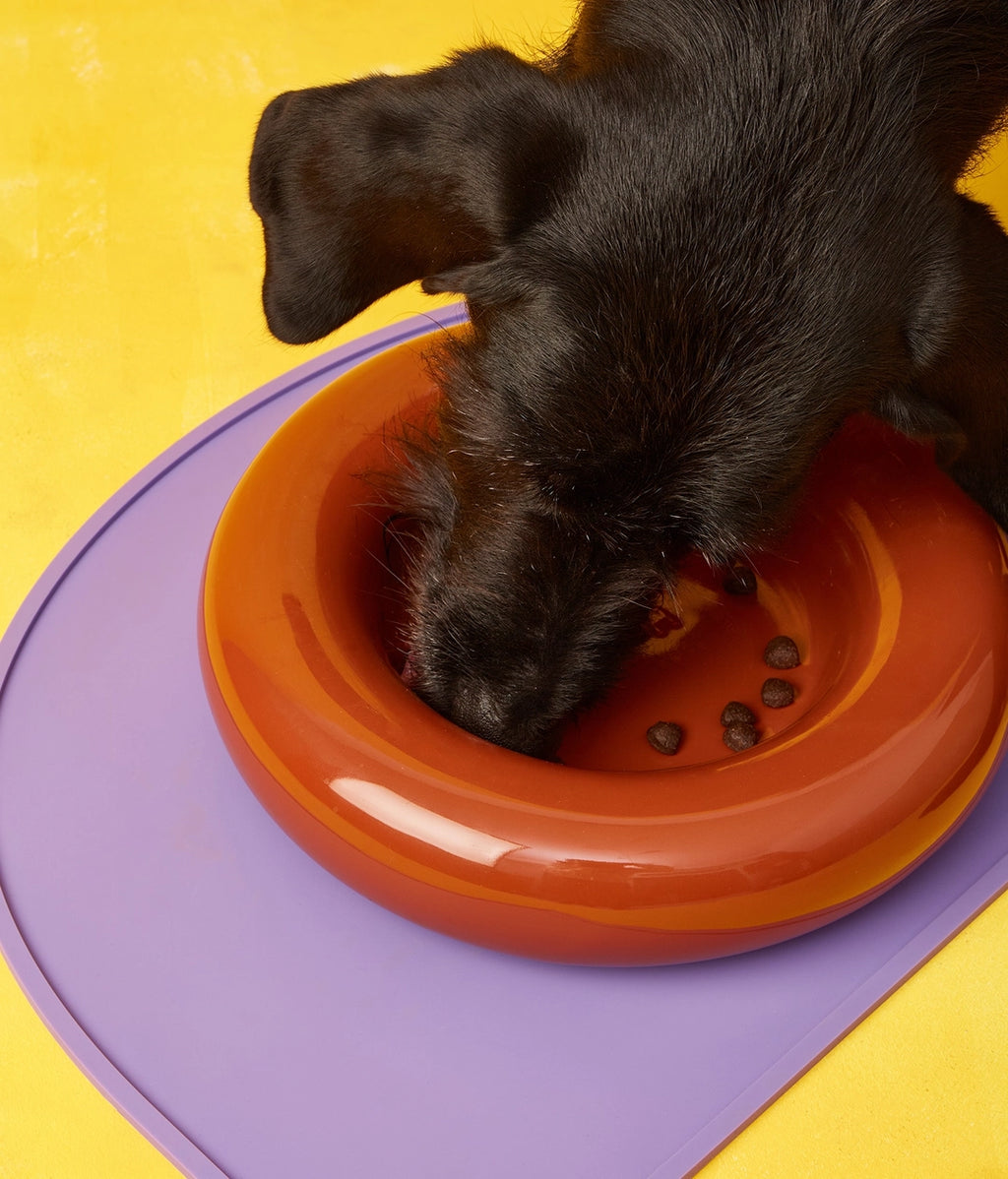 Forma Dog Bowl