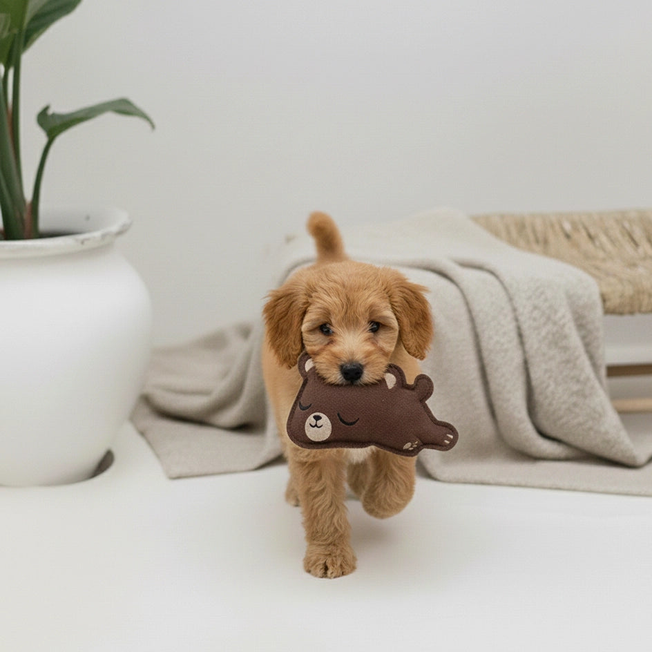 The Teddy Bear