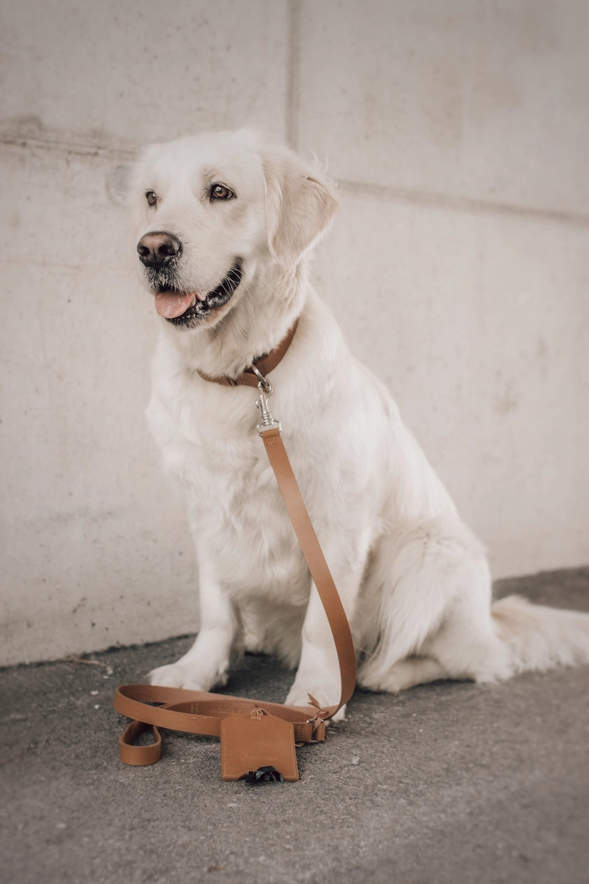 Lussa Leash