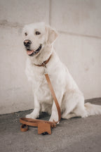 Lussa Leash