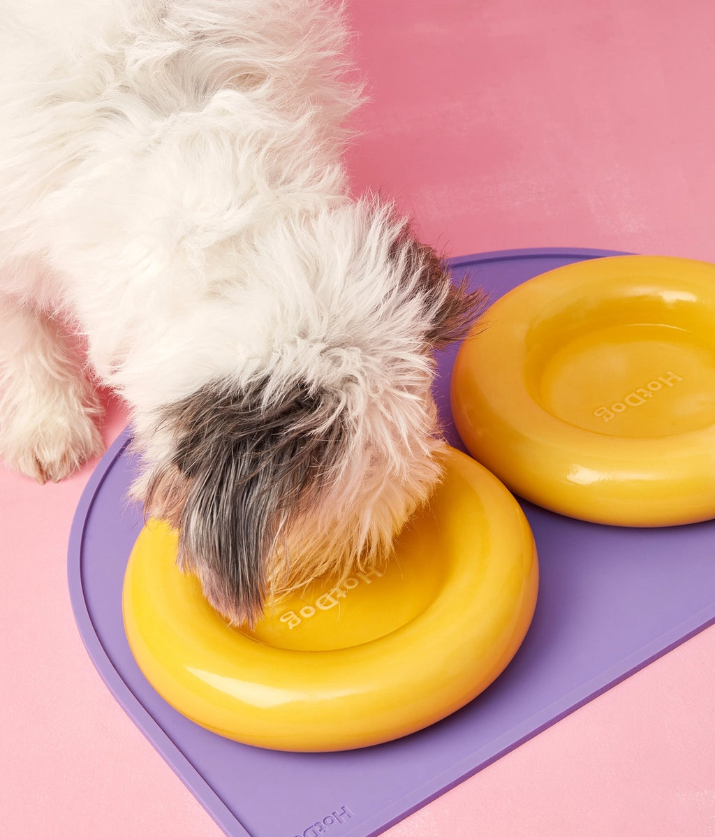 Forma Dog Bowl