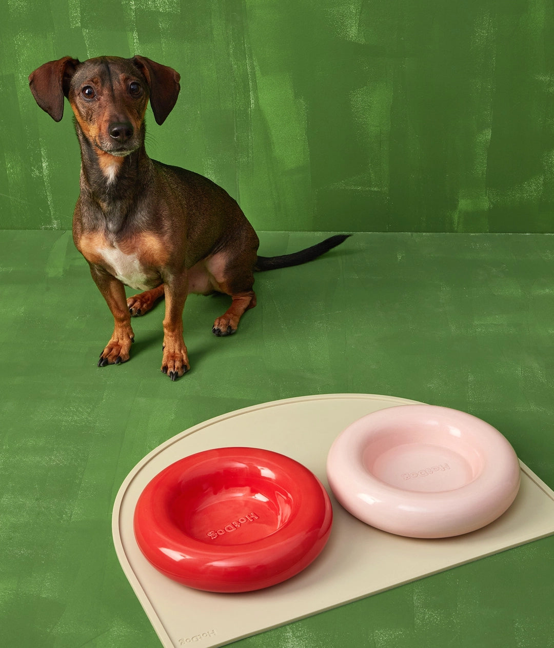 Forma Dog Bowl