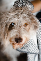 Linaa Dog Towel