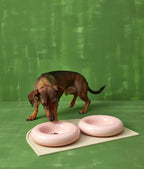 Forma Dog Bowl