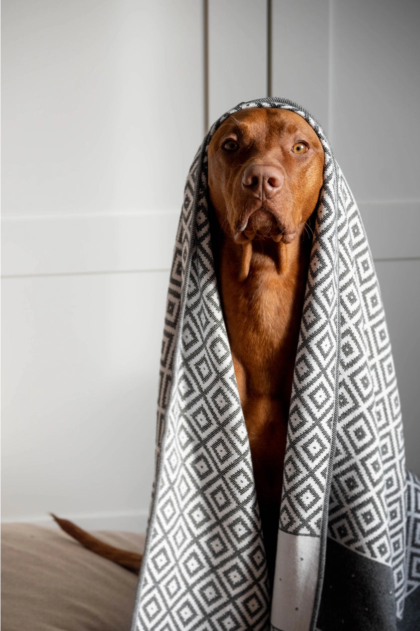 Linaa Dog Towel