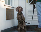 Lussa Leash