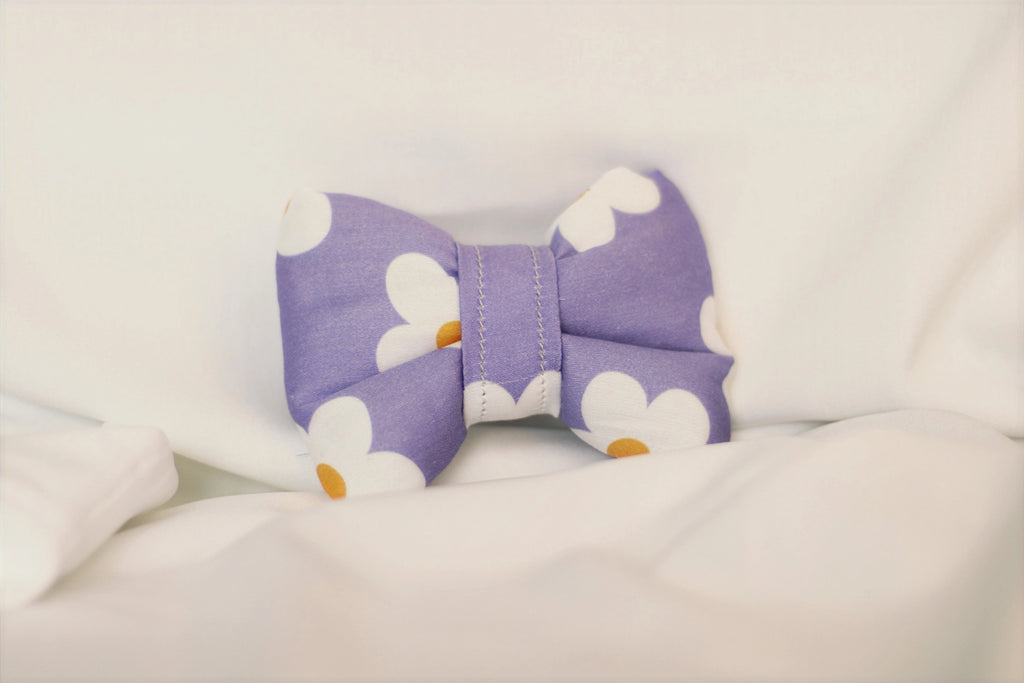 Pâquerette Bow Tie