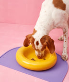 Forma Dog Bowl