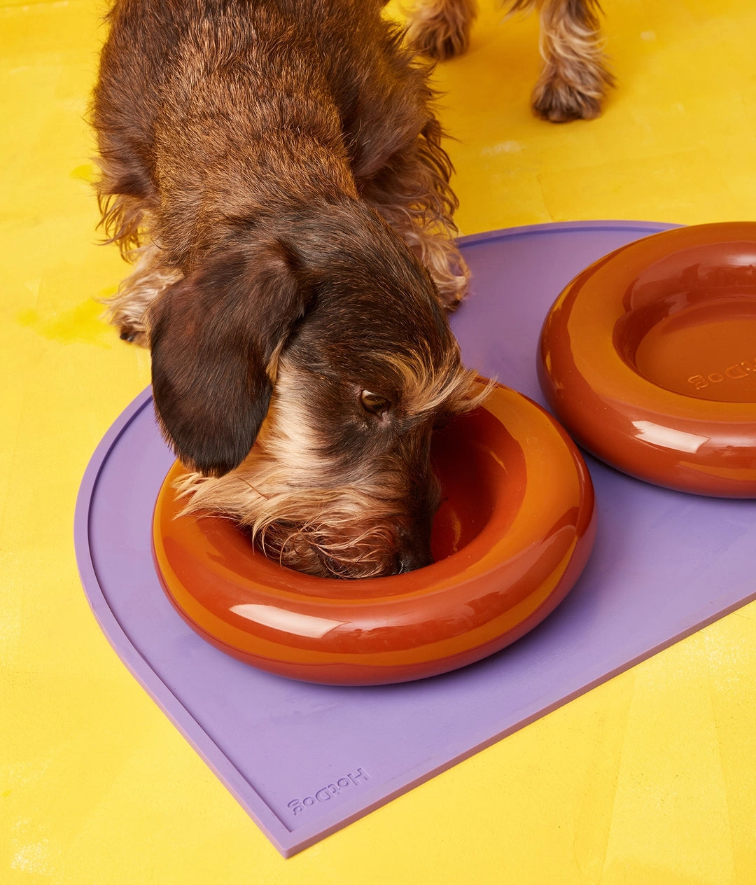 Forma Dog Bowl