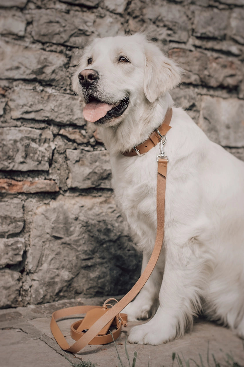 Kollu Collar