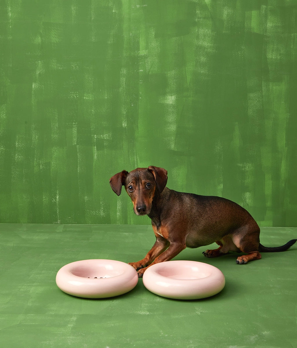 Forma Dog Bowl