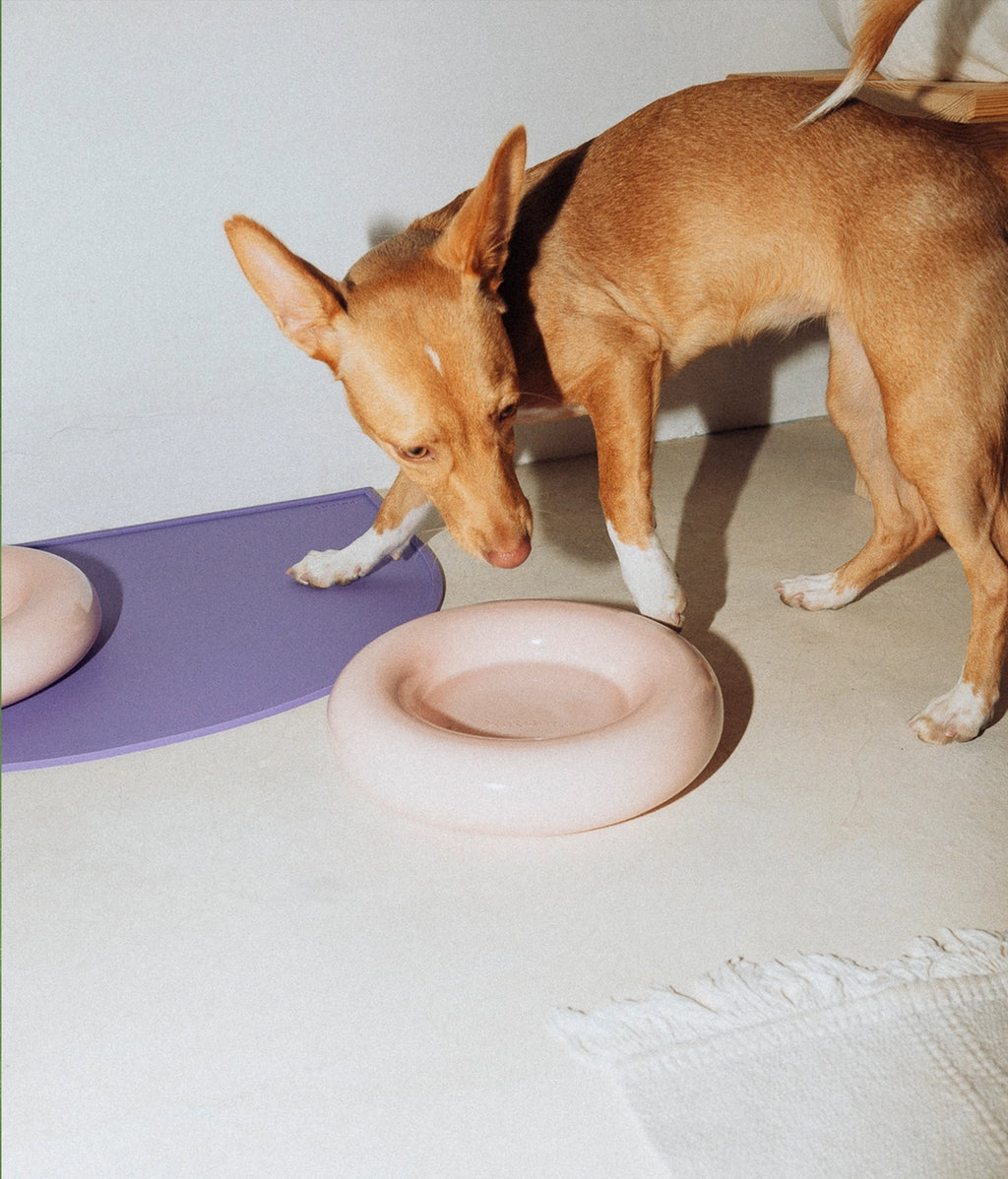Forma Dog Bowl