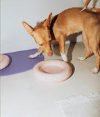 Forma Dog Bowl