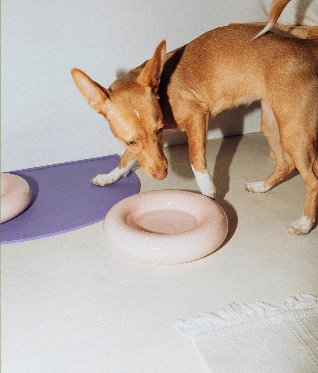 Forma Dog Bowl