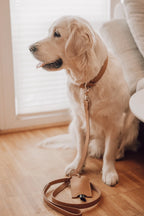 Lussa Leash