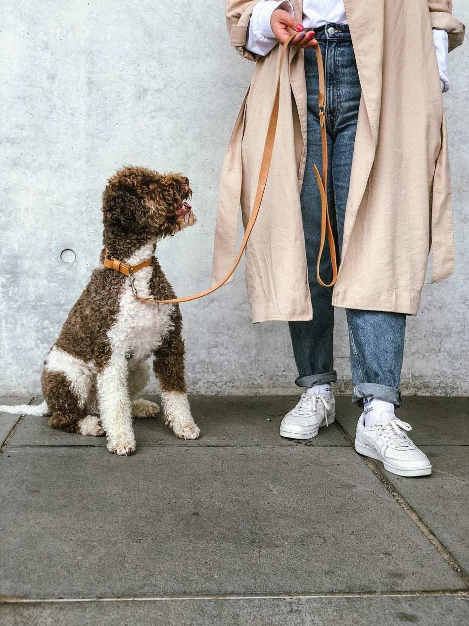 Lussa Leash
