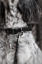 Kollu Collar