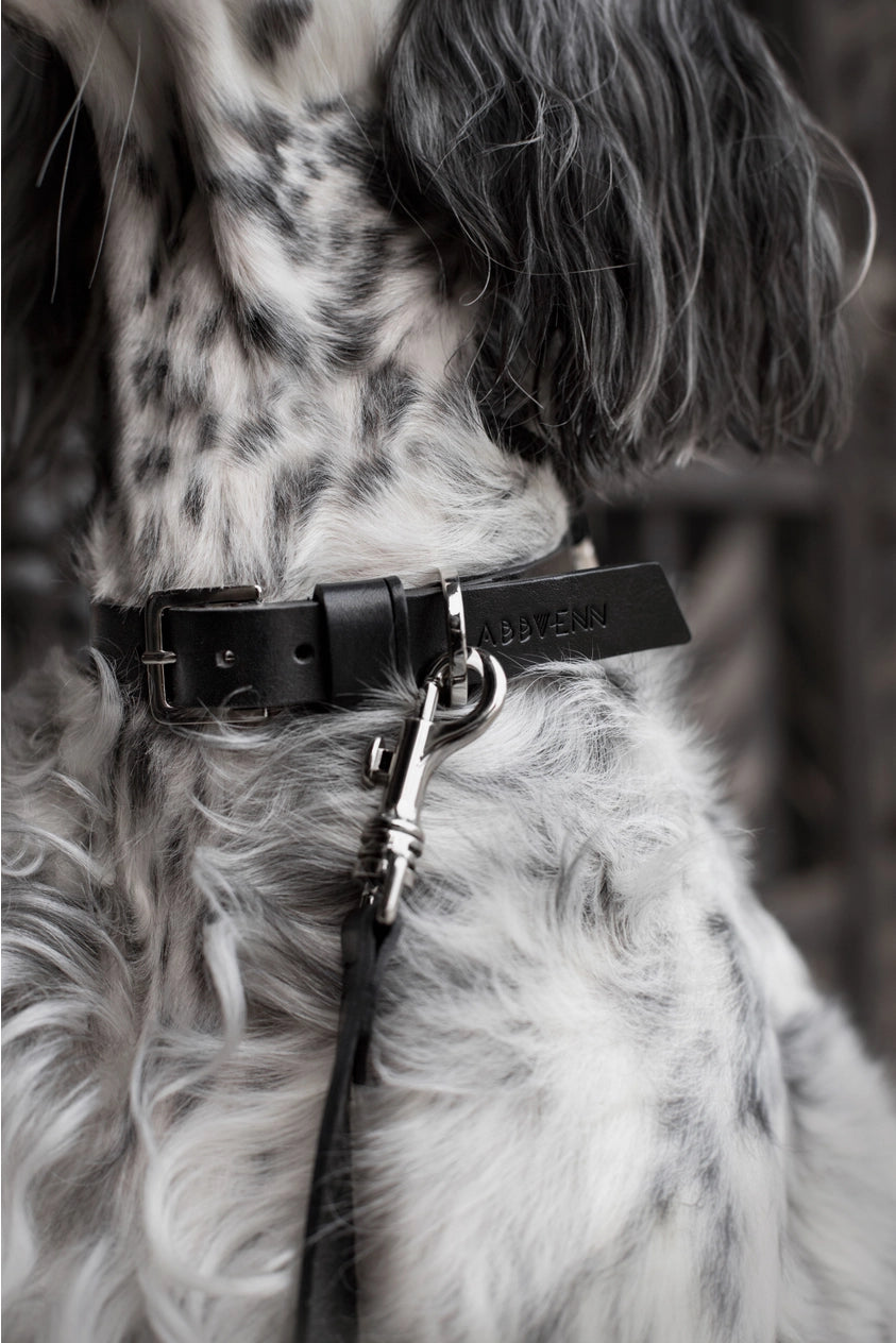 Kollu Collar
