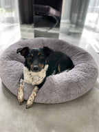 Cloud Comfort Bed