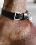 Kollu Collar
