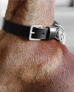 Kollu Collar