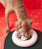 Forma Dog Bowl