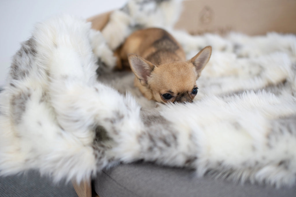 Tösse Blanket