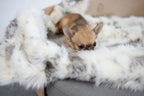 Tösse Blanket