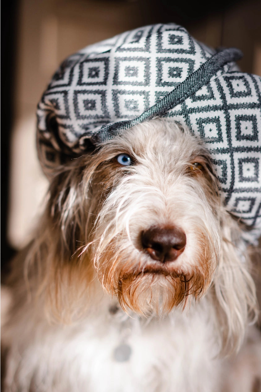 Linaa Dog Towel