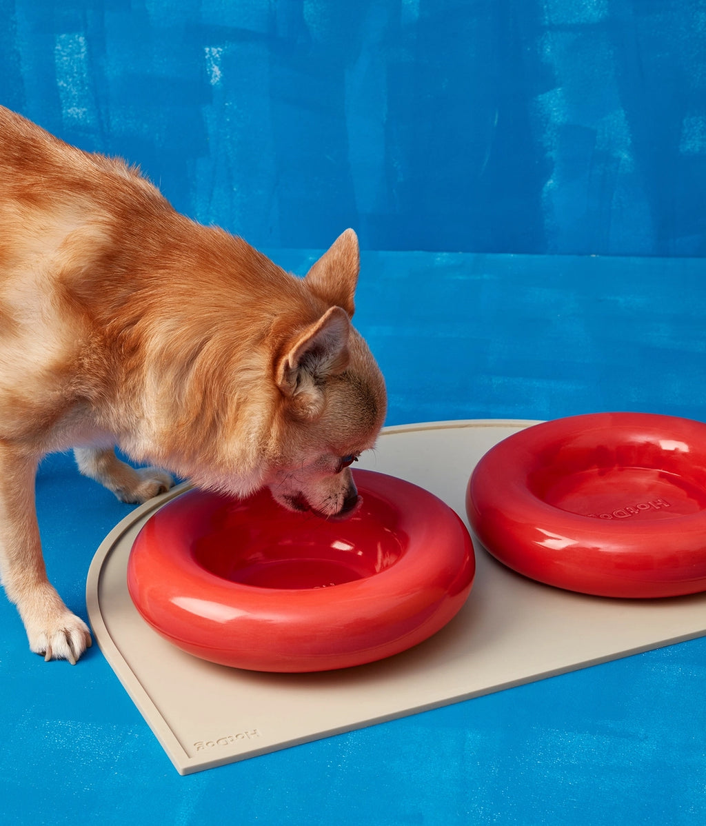 Forma Dog Bowl