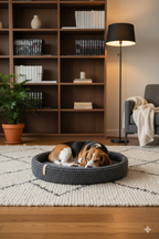 Beagle sleeping in the Lukko anthracite dog basket in a warm cosy living room with bookshelf