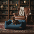 Burrow - Deep Teal - Dachshund library v2