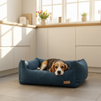 Burrow - Ocean Blue - Beagle kitchen v2