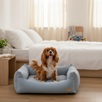 Burrow - Sky Blue - Cavalier bedroom v2