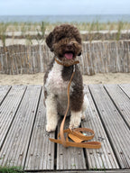 Lussa Leash