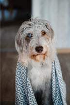 Linaa Dog Towel