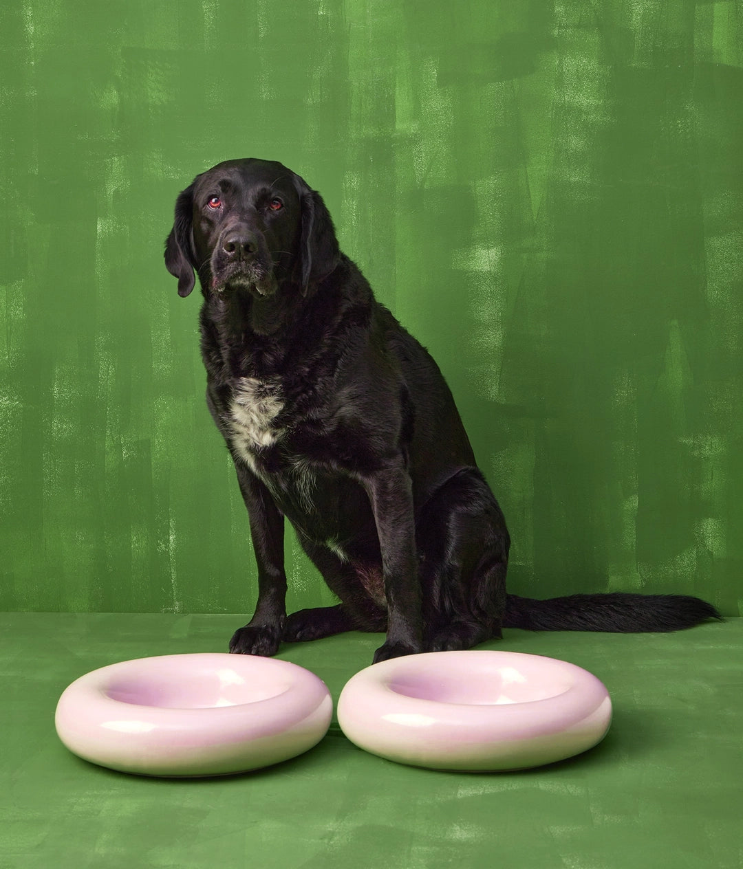 Forma Dog Bowl