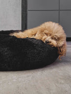 Cloud Comfort Bed