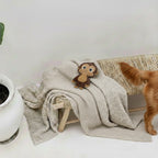 Dog playing with a monkey toy on a blanket next to a plant