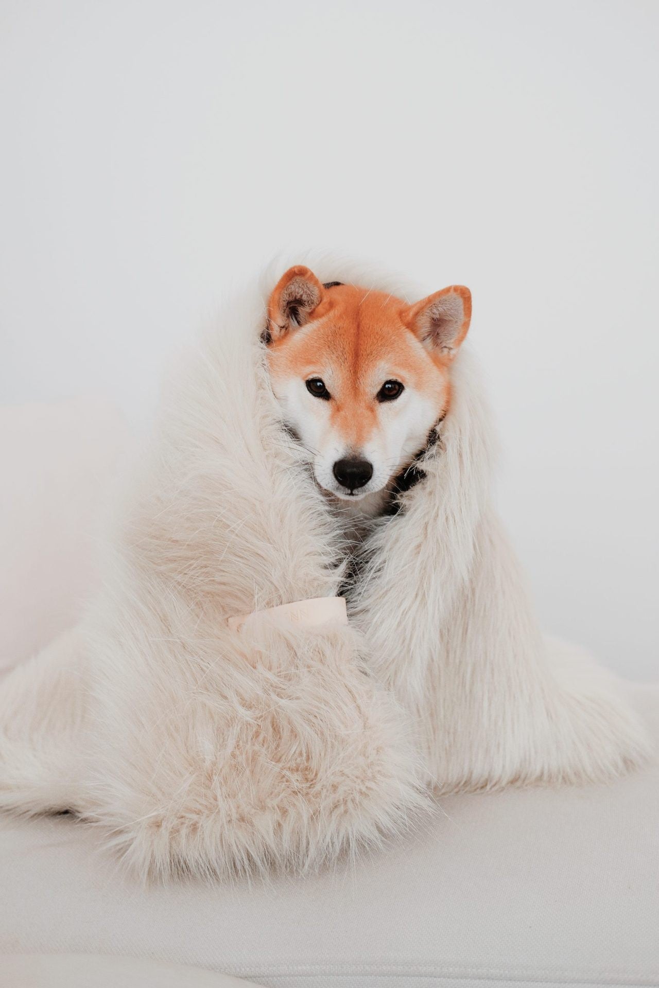 Föra faux fur pet blanket in white — double-sided, hand-finished, for dogs and cats.