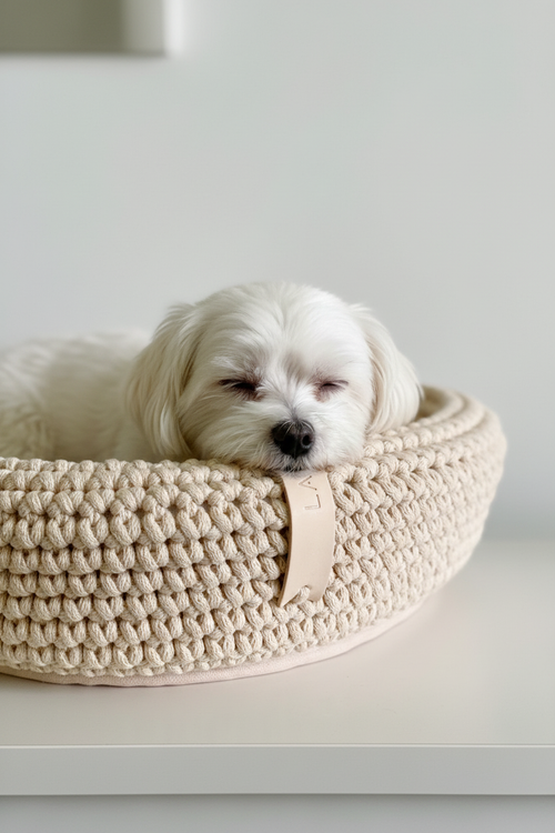 Maltese dog in Coco beige basket