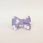Studio photo of Pâquerette Bow Tie