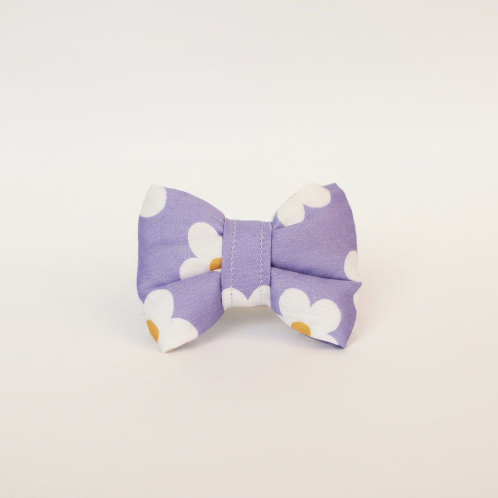 Studio photo of Pâquerette Bow Tie