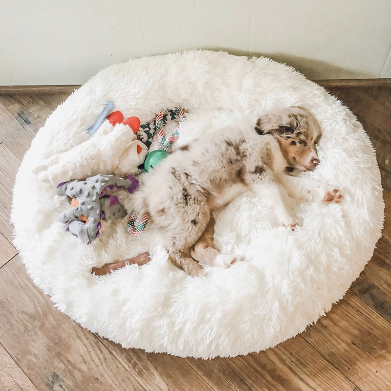 Calming Donut Cuddler - Poshful Pups