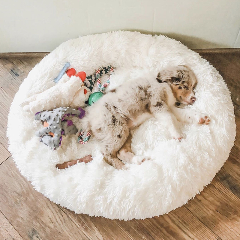 Pet Dog Bed Comfortable Donut Cuddler - Feeling Joyful Shop