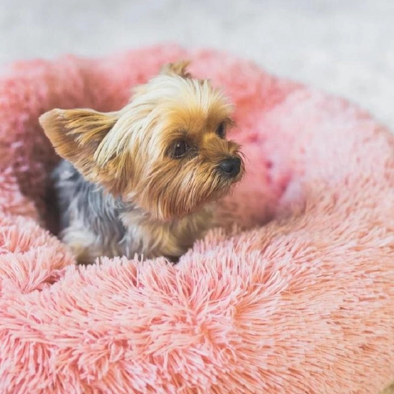 Calming Donut Cuddler Colorful Collection - Poshful Pups