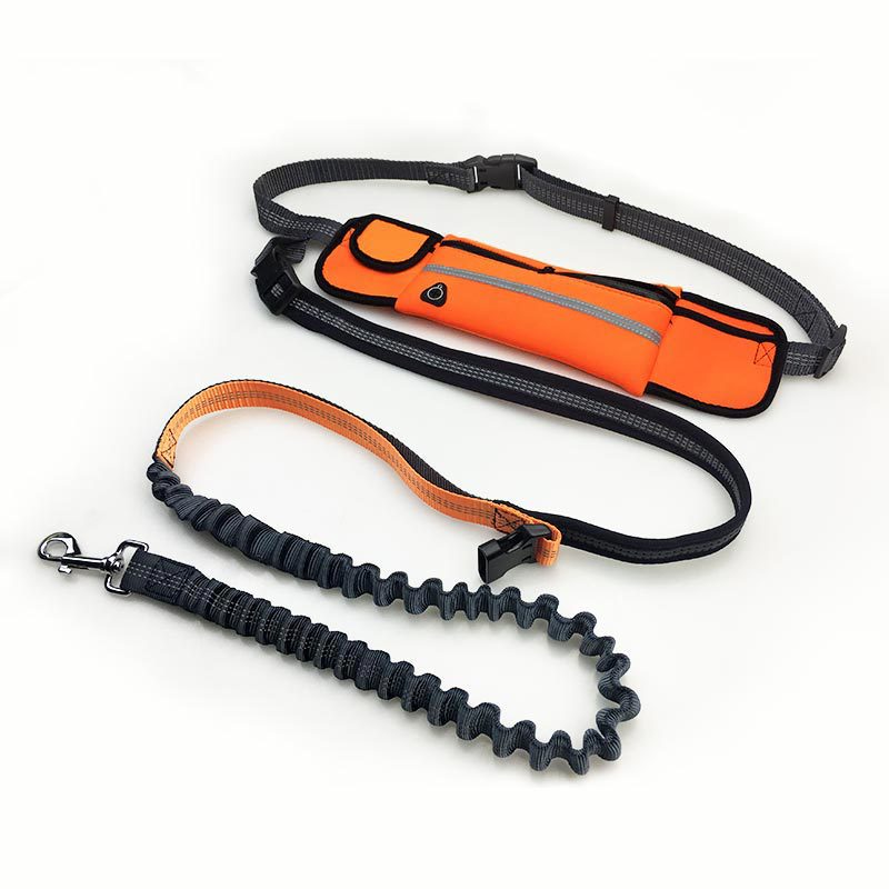 Handsfree Bungee Dog Leash - Poshful Pups